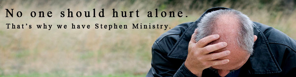 stephen ministry edited